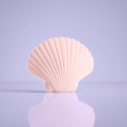 Sandy the shell
