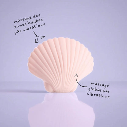 Sandy the shell