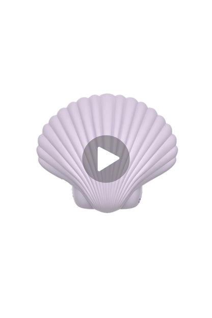 Sandy The Shell